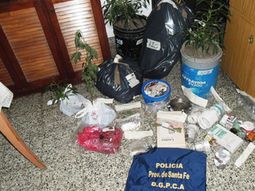 procesaron a un jubilado de 71 anos que tenia 5 plantas de marihuana procesaron a un jubilado de 71 anos que tenia 5 plantas de marihuana