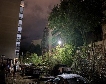 Impresionante tormenta con granizo azotó a Mar del Plata