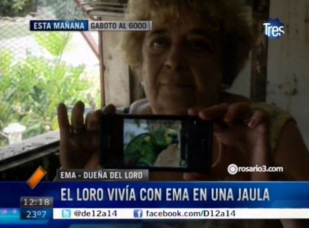 Le robaron el loro y está desesperada: Es como un hijo