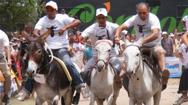 Rally Mundial de Burros