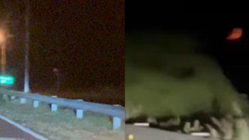 misterio en la ruta: filmaban la luna y vivieron una escalofriante experiencia paranormal misterio en la ruta: filmaban la luna y vivieron una escalofriante experiencia paranormal