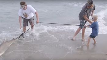 un surfista mordido por tiburon se vengo: lo atrapo y ahora lo va a comer un surfista mordido por tiburon se vengo: lo atrapo y ahora lo va a comer