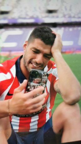 Luis Suárez campeón llorando