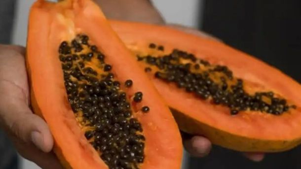 La papaya es rica en fibra y mejora la digestión. La papaya es rica en fibra y mejora la digestión.