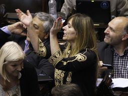 Dólar blue: Di Tullio pidió un Policía en cada cueva
