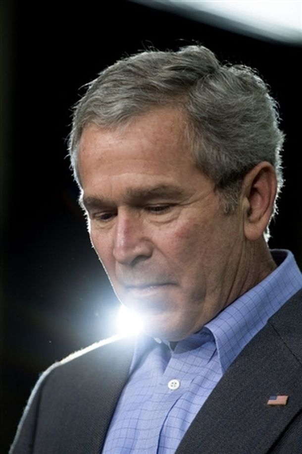 Bush