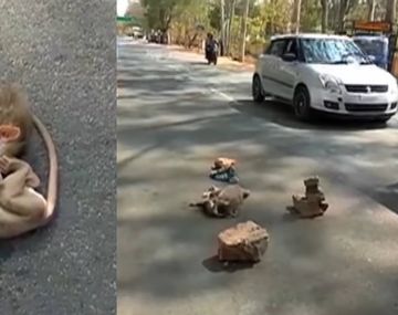 La triste escena dio la vuelta al mundo