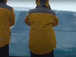 El iceberg más grande del mundo está por chocar con Georgia del Sur