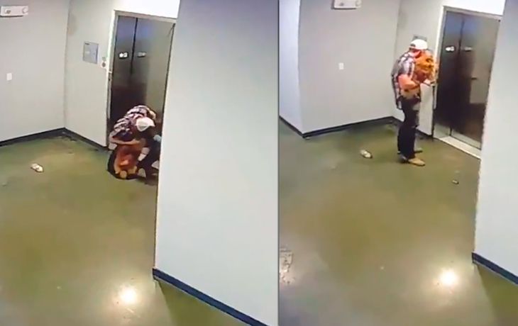 VIDEO: Salvó a un perro de morir estrangulado con su propia correa