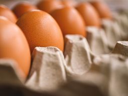 El truco casero que incluye huevo, agua y jabón y ayuda a limpiar el hogar El truco casero que incluye huevo, agua y jabón y ayuda a limpiar el hogar