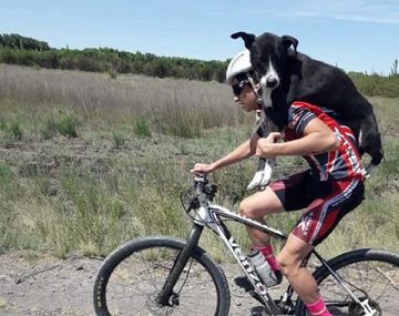 Ciclistas rescataron a un perro en plena carrera
