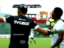 El partido tuvo que ser temporalmente suspendido hasta que pasara en enjambre