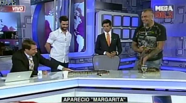 Una boa en los estudios de C5N: mirá la reacción de Eduardo Feinmann