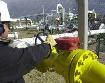 Aranguren le pide reducir a cero el consumo de gas a grandes empresas