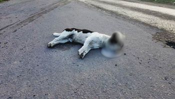 Foto: Portal La Brújula 24. Foto: Portal La Brújula 24.