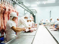 Dos frigoríficos de Uruguay mantienen la actividad detenida hace un año. Dos frigoríficos de Uruguay mantienen la actividad detenida hace un año.