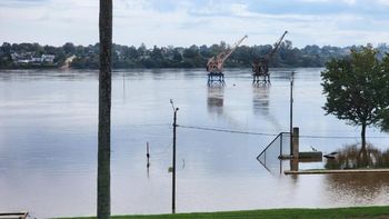 Las inundaciones afectan a la cosecha de soja y la ARU advierte que es necesario levantar la cosecha ahora para evitar pérdidas importantes. Las inundaciones afectan a la cosecha de soja y la ARU advierte que es necesario levantar la cosecha ahora para evitar pérdidas importantes.