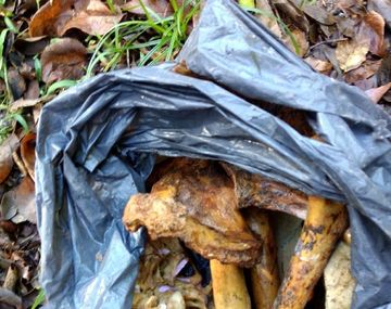 Encontraron huesos humanos en una bolsa de basura en City Bell