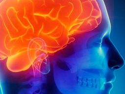 aumento de contaminacion eleva el numero de acvs aumento de contaminacion eleva el numero de acvs