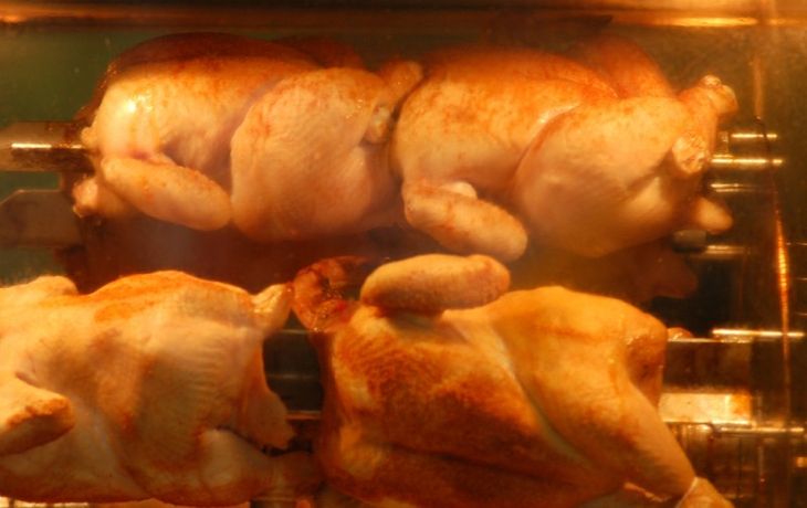 Pollo