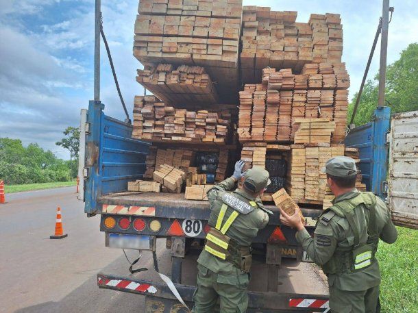 679756-kg-marihuana-san-ignacio-7jpg