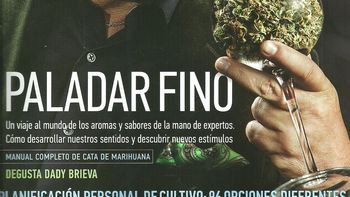 dady brieva se defendio de la polemica tapa: no pretendi caretearla dady brieva se defendio de la polemica tapa: no pretendi caretearla