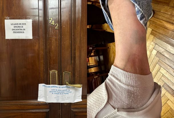 Escándalo en el Senado: legisladora denunció penalmente a personal de seguridad por lesiones y amenazas