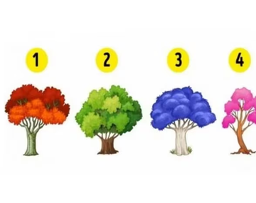 Test viral: el árbol que elijas revelará cómo es tu personalidad