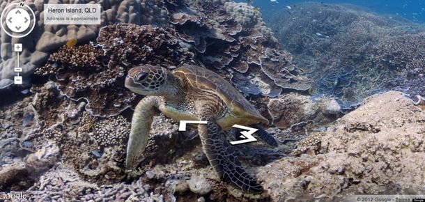 Google permite recorrer los océanos