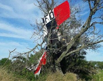 Tragedia en Santa Fe: murió un piloto al incrustarse el avión sobre un árbol