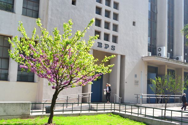 El BPS analiza subsidiar alquileres para jubilados en Uruguay.