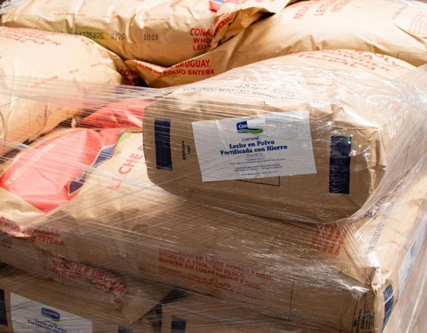 El lobby de los productores brasileños para frenar las importaciones de lácteos frenó las colocaciones uruguayas en ese mercado.