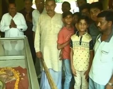 Así veneran a la vaca con cabeza humana