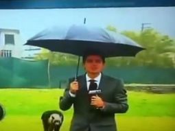 Alpaca