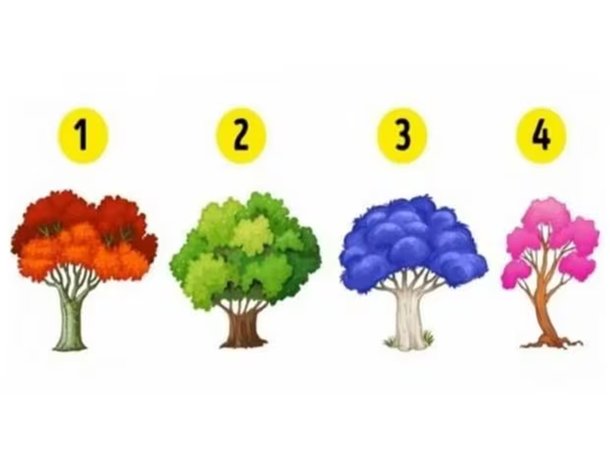 Test viral: el árbol que elijas revelará cómo es tu personalidad