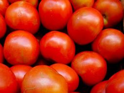 TOMATES