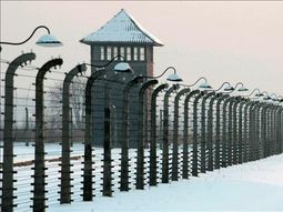 holocausto Auschwitz holocausto Auschwitz