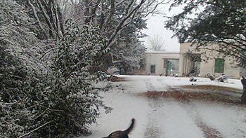 cordoba: intensas nevadas en la zona de los incendios