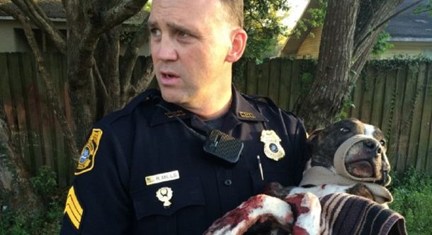 Emotivo rescate de una perra herida y atada sobre las vías del tren