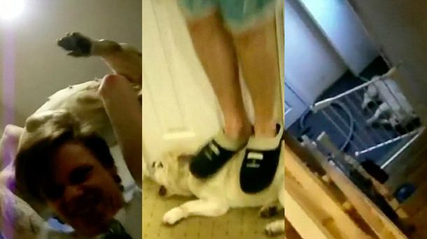 Dos hermanos se filmaron torturando a su perro y no irán a la cárcel