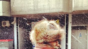 Calu Rivero Calu Rivero