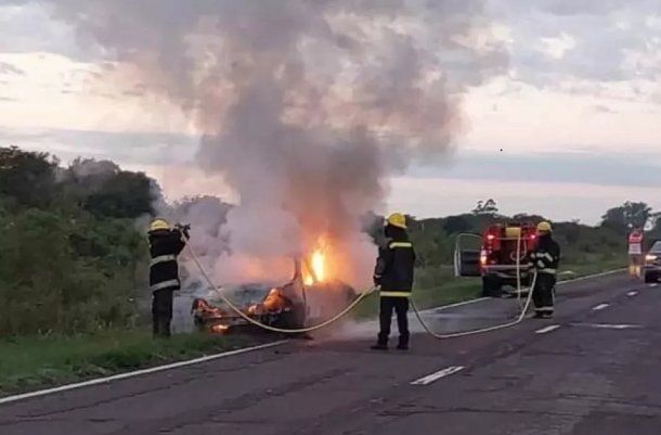 Corrientes: un auto embistió una manada de ciervos y se prendió fuego