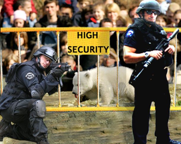 Knut-seguridad