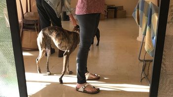 El hijo de Agustina Kämpfer se llamará Juan El hijo de Agustina Kämpfer se llamará Juan