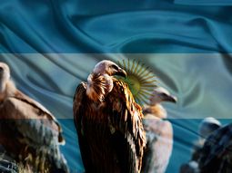 argentina logro un acuerdo con el fondo buitre duro de paul singer argentina logro un acuerdo con el fondo buitre duro de paul singer