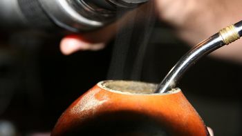 aseguran que el mate caliente puede producir cancer aseguran que el mate caliente puede producir cancer