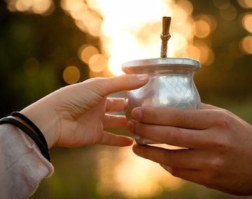 ¿Sin mate? Productores advierten