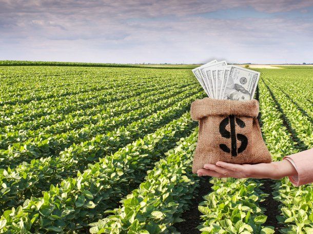 El Gobierno anunció el fin de la quita de retenciones: ya se alcanzó el cupo de u$s7.000 millones