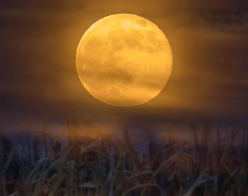 Luna de cosecha: el fenómeno astronómico que se dará este viernes 13