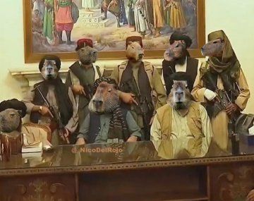 Los memes por la invasión de carpinchos en Nordelta